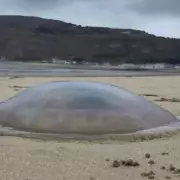 Mysterious 'Alien Jellyfish' Spotted in UK Skies: Brit Claims UFO Sighting Over Home