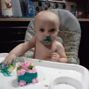 Mystery Deepens: Missing Toddler Found Dead in Woods as Police Probe Tragic Case