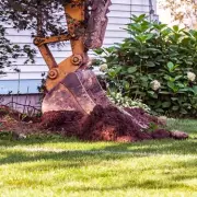 Neighbour Sparks Outrage by Removing 3ft Front Garden Without Permission