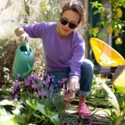 Neighbour's Tree Blocking Your Sunlight? Here's What You Can Legally Do