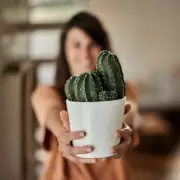 Neighbour's Wi-Fi War: Woman Told to Stop Using Internet at Night