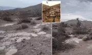 Nevada Nightmare: 70 Bags of Cremated Human Remains Found Dumped in Desert Outside Las Vegas