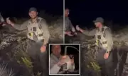 New Mexico Police Officer Suspended After Shocking Video Shows Him Killing Defenceless Pet Rabbit