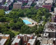 New York City's Great Tree Census Reveals Surprising Urban Canopy Growth