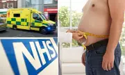 NHS Ambulance Services Struggle with Soaring Costs of Transporting Obese Patients