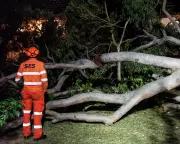 NSW Braces for Wild Weekend: Heavy Rain and Damaging Winds Forecast