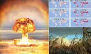 Nuclear Winter Apocalypse: Scientists Reveal Chilling Forecast of Global Starvation
