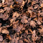 Only Those With Hawk Eyes Can Spot the Hidden Number in This Viral Optical Illusion