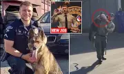 Outrage as Cop Accused of Dog Torture Lands New Sheriff's Deputy Job