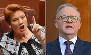 Pauline Hanson Clashes with Anthony Albanese Over Hamas and Palestine in Fiery Debate