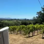 Pensioner's 'Natural' Death Ruled a Murder After Shocking Post-Mortem Revelation