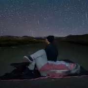 Perseid Meteor Shower 2024: Best Spots & Times to Watch in the UK