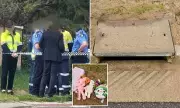 Perth Mother Charged After Newborn Found in Storm Drain in Shocking Baby Abandonment Case