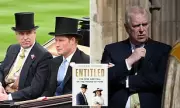 Prince Harry and Prince Andrew Feud Denied by Sussexes Amidst Royal Tensions
