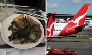 Qantas Business Class Meal Shock: Passenger's 'Disgusting' Bircher Muesli Sparks Outrage on Melbourne to Singapore Flight