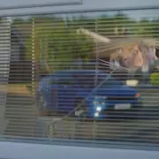 Revealed: The UK's Noisiest City Where Electric Cars Are Hardly Heard