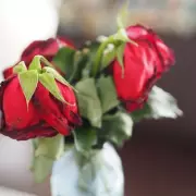 Revive Wilted Roses Instantly with This Genius Gardening Hack