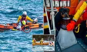 RNLI Heroes Stage Dramatic Tidal Rescue: Family & Dog Saved From Rising Waters | UK Coastguard Emergency