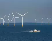 Ørsted Shares Plummet by £9bn Amid Cash Call Crisis – What’s Next for the Wind Energy Giant?