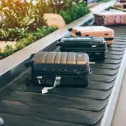 Ryanair Passengers Urged to Verify Luggage Rules Before Flight to Avoid Hefty Fees