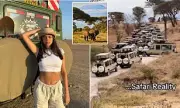 Safari Holidays Ruined by Influencers: Tourists Fume Over Disruptive Behaviour