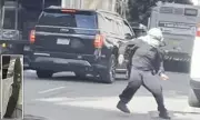 San Francisco Erupts: Violent Mob Attacks ICE Agents During Arrest Operation