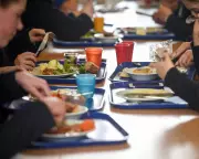 School Lunch Price Hike: Parents in England Face Steep Rise in Meal Costs