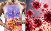 Scientists Link Common Stomach Disorders to a Hidden Virus – Could This Be the Breakthrough We've Been Waiting For?