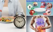 Scientists Reveal How Fasting Triggers Deep Cellular Repair in the Body