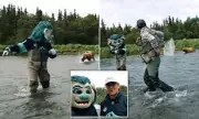 Seattle Kraken's John Hayden and Team Mascot Face Charges After Alleged Bear Encounter