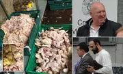 Shock as Butcher Jailed for Selling Rotten Pet Meat to Public in Filthy UK Shop | Daily Mail