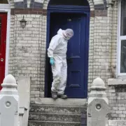 Shock Discovery: Human Remains Unearthed at Westminster Building Site