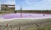 Shock in the Peaks: Hikers Stumble Upon Baffling Bright Pink Lake in Derbyshire