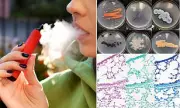 Shocking Discovery: Vape Mouthpieces Found Teeming with Harmful Fungi