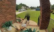 Shocking Footage: Amazon Delivery Driver Caught Dumping Packages in Street