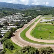 Shocking Horse Welfare Scandal: Puerto Rico Racehorses Allegedly Shipped to Gulfstream Park