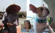 Shocking Moment USPS Worker Pepper Sprays Defenceless Dog in California | Home Security Footage Exposes Attack