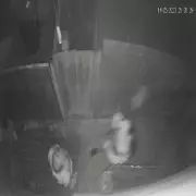 Shocking Moment Woman Smashes Neighbour Over Parking Dispute in Westminster