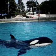 Shocking Truth Behind Viral Trainer Video: What Really Happened