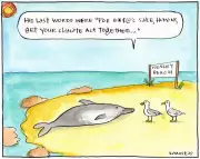 South Australia's Marine Life: A Stark Warning About Our Oceans