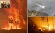 Spain's Hellish Fortnight: Record Wildfires Scorch Area Twice the Size of London as Heatwave Death Toll Tops 1,100