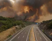 Spain's Record-Breaking Heatwave Fuels Devastating Wildfires in 'Most Intense' Crisis on Record