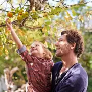 Spring Gardening Guide: How to Start Your Own Orchard at Home