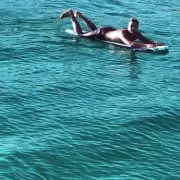 Surfer's Terrifying Shark Encounter: Heart-Stopping Footage Shows Ocean Predator Inches Away