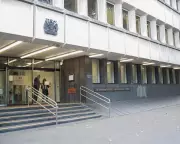 Teenagers Arrested for Gruesome Kitten Torture and Killing in London