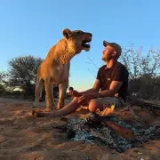 The Man Who Lived With Lions: Heartbreaking Bond Between Conservationist and Big Cat He Raised From a Cub