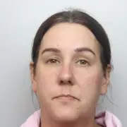 The Puppet Masters: How Narcissists and Extremists Are Exploiting UK's Immigration Debate