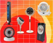 The UK's Best Fans Revealed: Which Football Supporters Top the List?