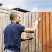 This Common Gardening Mistake Could Land You a £20,000 Fine – Are You Guilty?