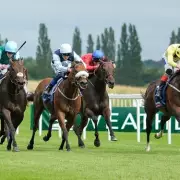 Thursday's Racing Tips: Newsboy's 7-2 NAP at Southwell & Wolverhampton Picks